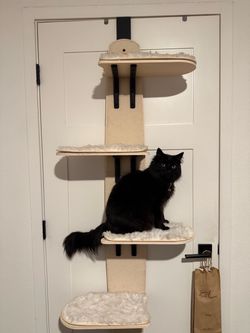 Door-Mounted Multi-Level Cat Tree