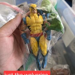 Marvel Legends Action Figures 
