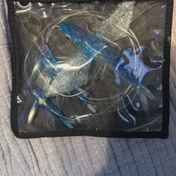 Ocean Cat  Daisy Chain