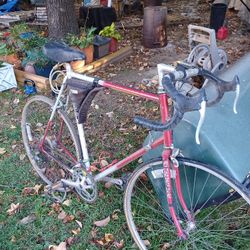 1979 Schwinn Traveler