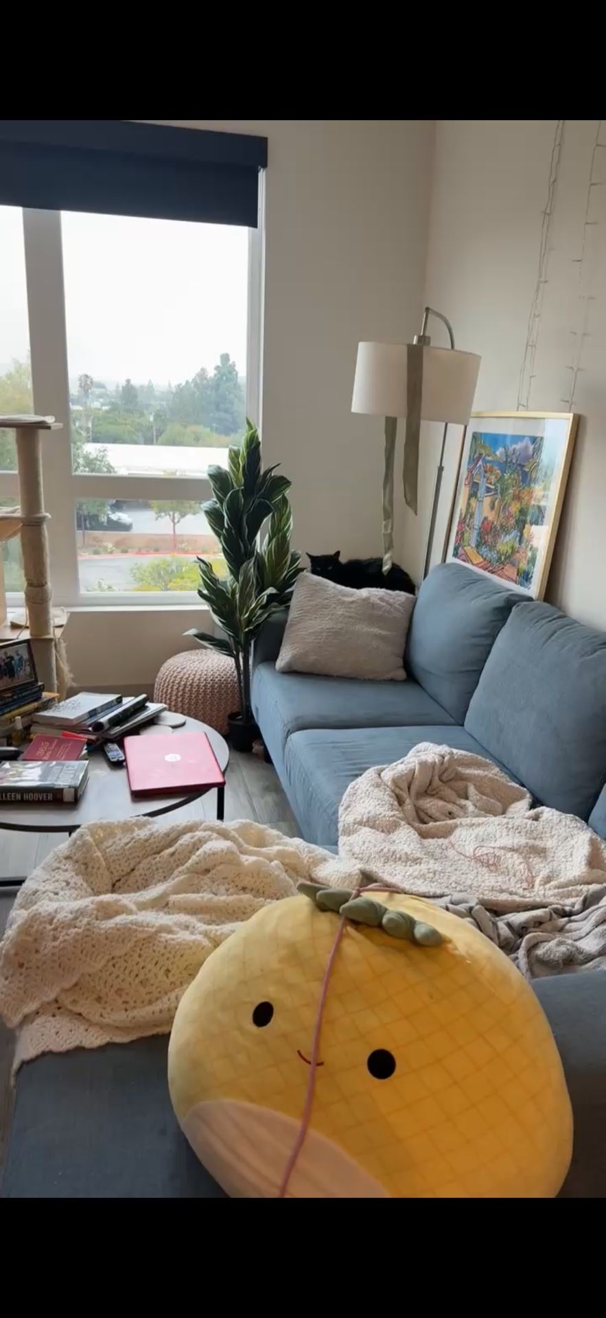 Blue Sectional Couch