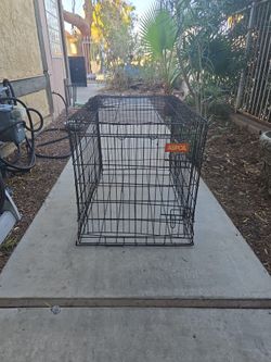 Small or Medium Dod Cage