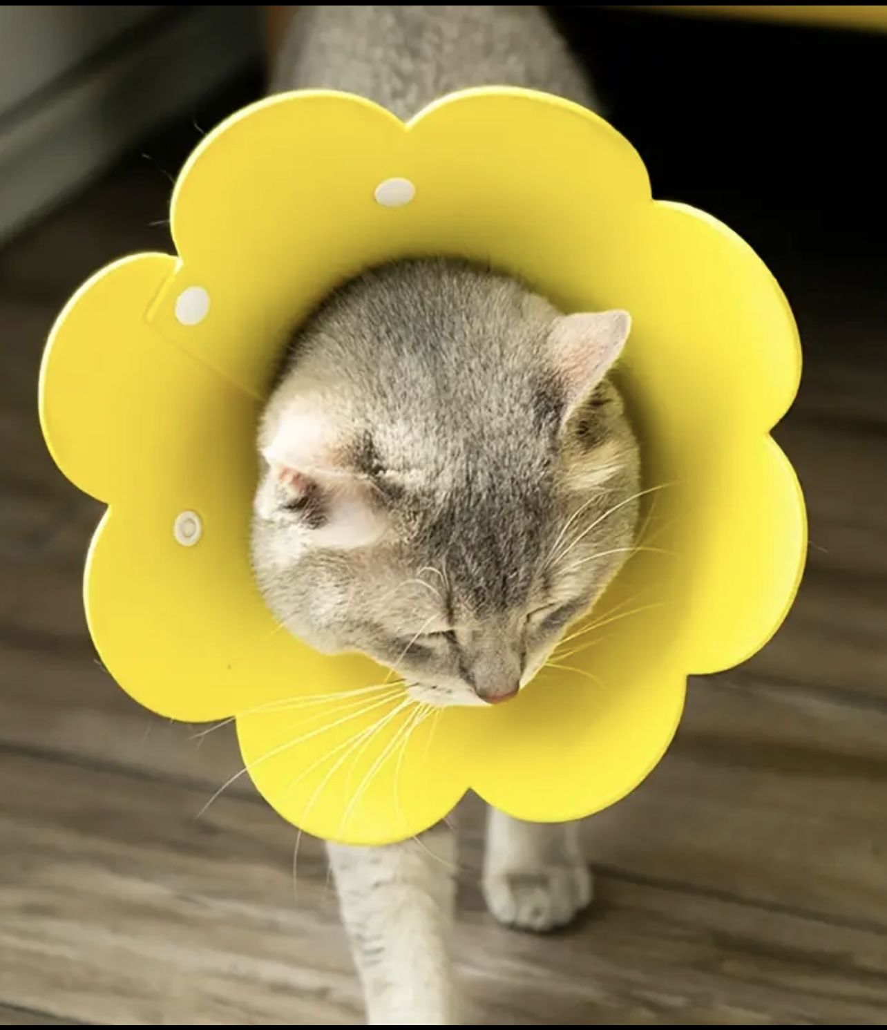 Sunflower Pet Collar, Cat Cone, Pet Anti-Licking Collar For Cat