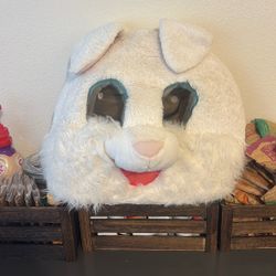 Easter Bunny Mascot Head 