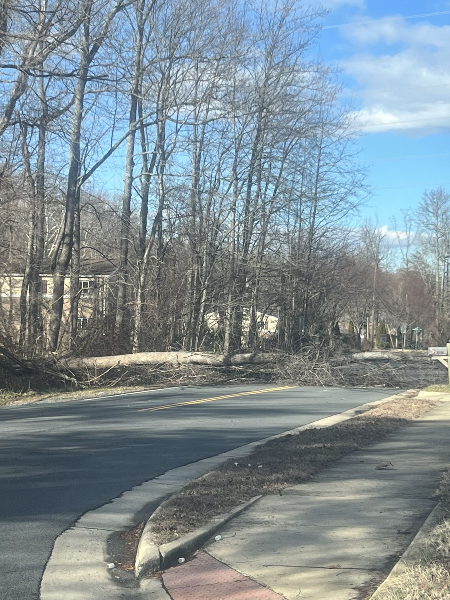 Tree Care Stump Removal