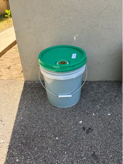 Gain Oxi 5 gallon laundry detergent