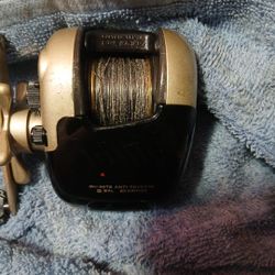 Daiwa Td1h1 Tournament