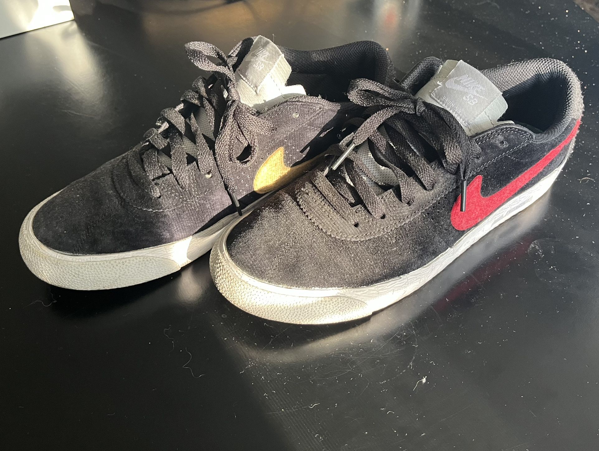 Nike SB Lost Art Bruin (9.5)