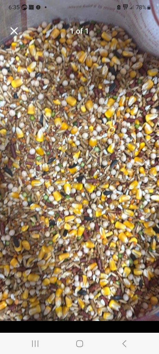 Mix Para Gallinas Pinedoras