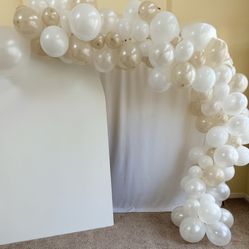 Balloon Arch $14