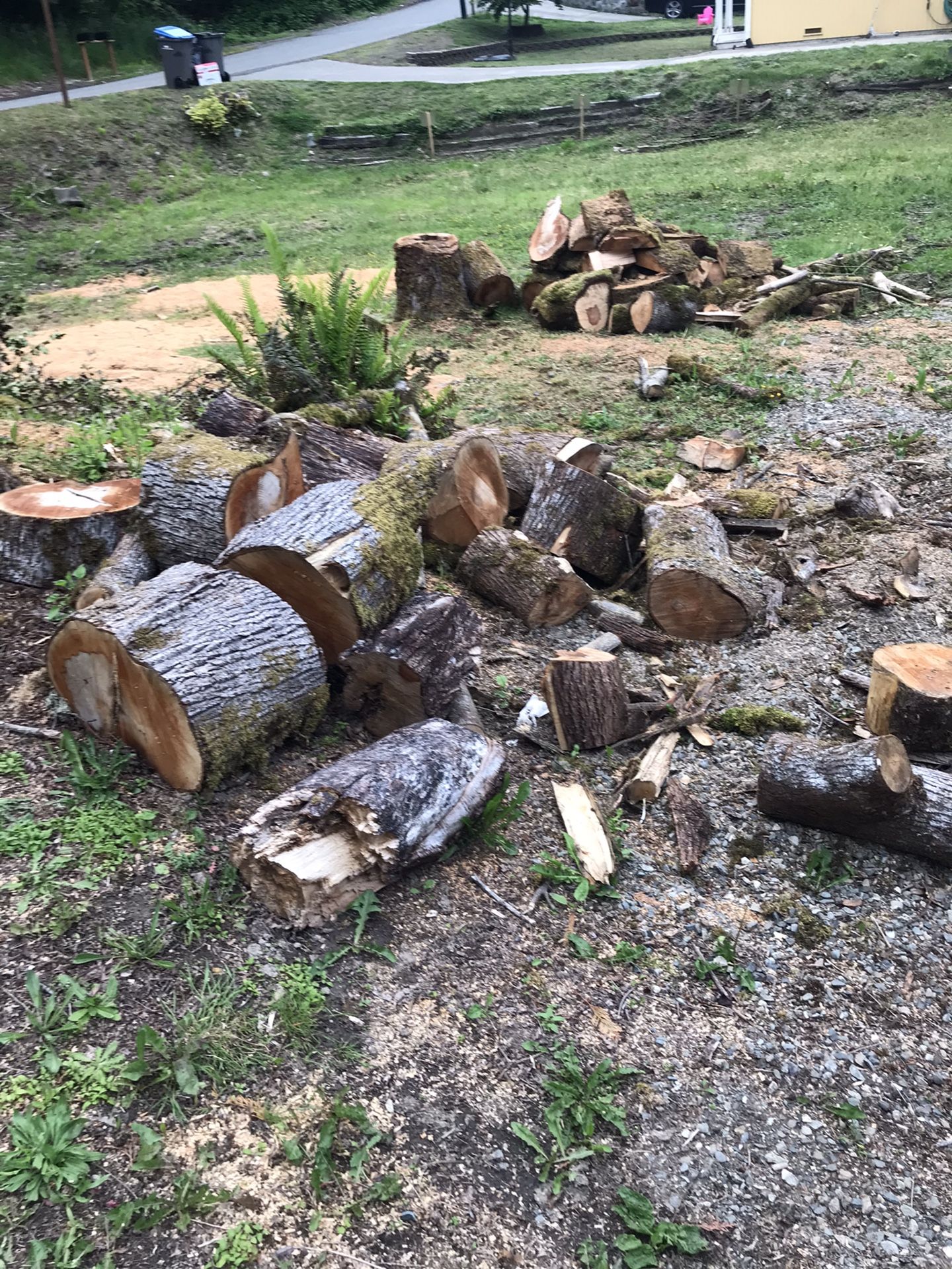 Free, firewood for Sale in Port Orchard, WA OfferUp