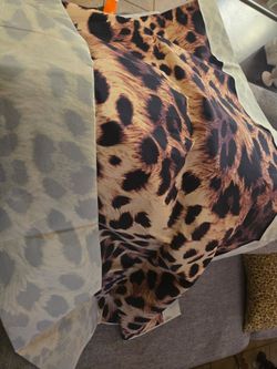Cheetah backdrop