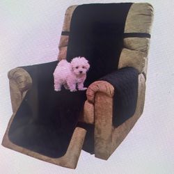 Chair Protective Cover