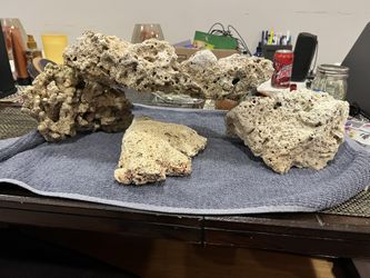 Salt Water Rocks 4 Pieces