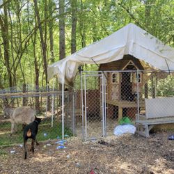 Kennels, Goat House