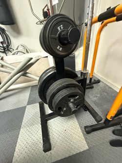 Weight Plate Tree Storage Rack with Plates
