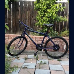 Well Kept Adult Bike