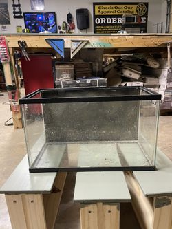 20-Gallon Fish Tank (20x10x12) - Great Condition
