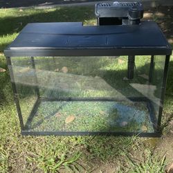 Fish Tank