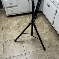 Speaker Stands