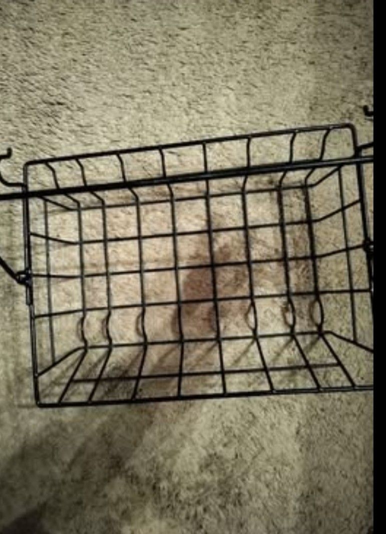 Metal basket with handle