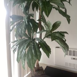 Palm Tree Home Decor