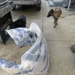 Toyota Camry Front Bumper 