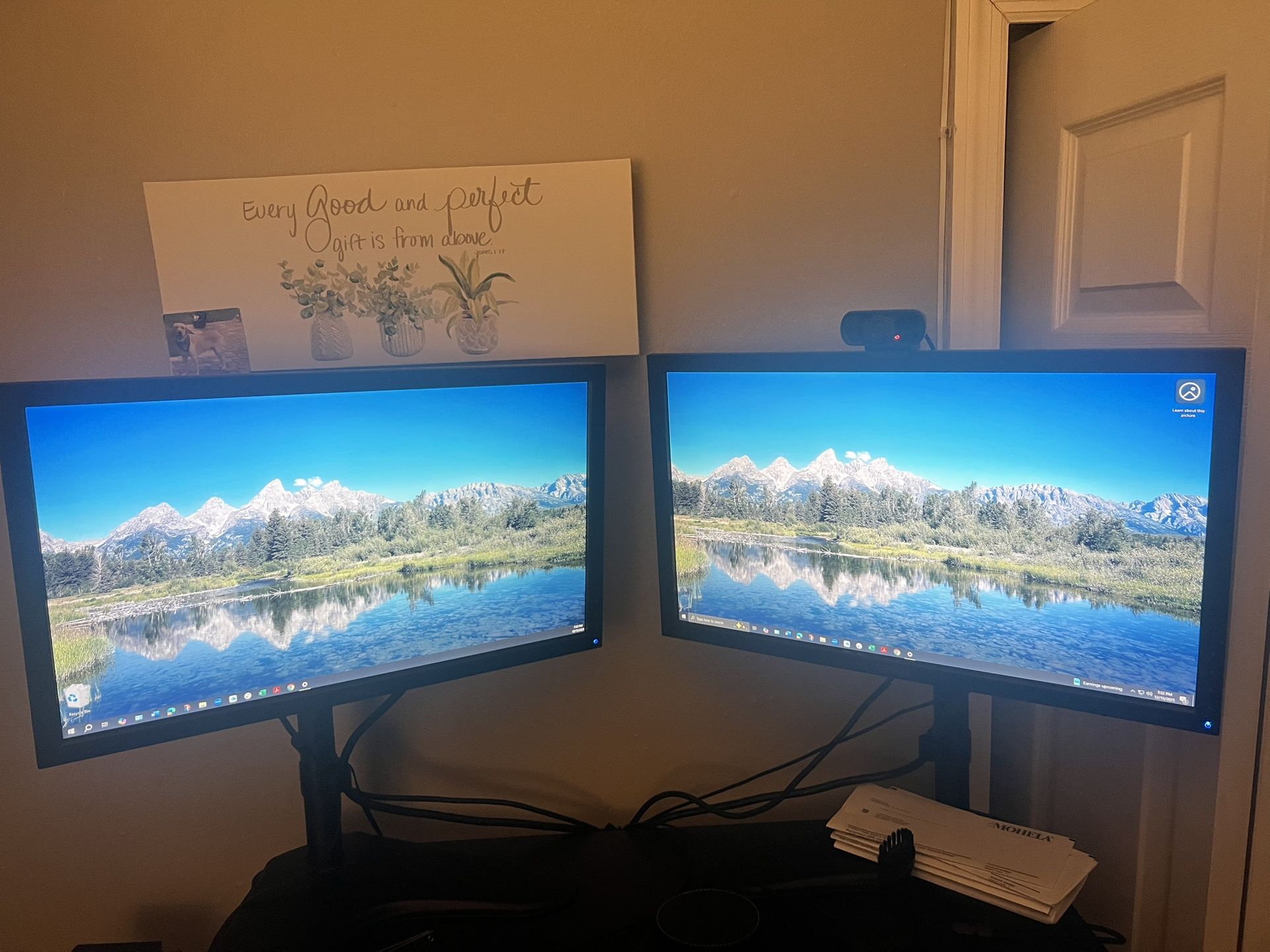 Dell Monitors wit stands