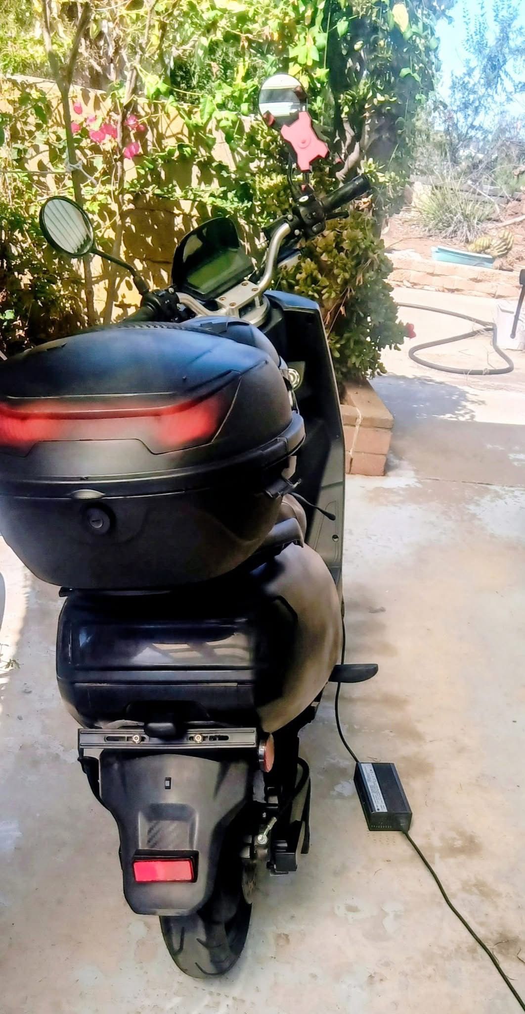 Zebra Electric Moped