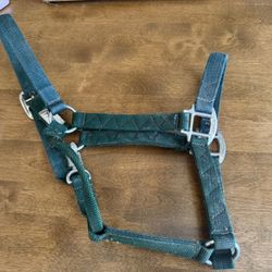 2 Horse Halter 