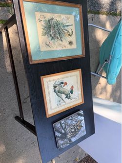 3 Bird Pictures Framed, 1-13 by 16, one is 13 by 11, Owl is 8 by 10, $5 each