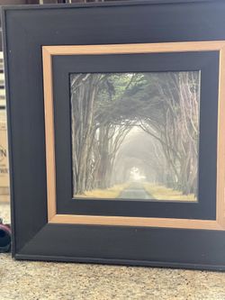 Kirklands Framed Tree Arch Pic 
