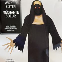 NEW WICKED SISTER HALLOWEEN COSTUME 