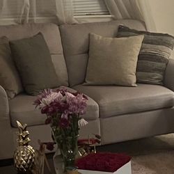 Love Seat And Couch