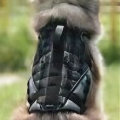 Harnesses __ Durable & High-Quality __ Leashes