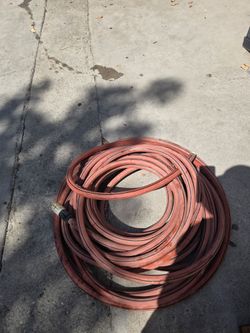 Hose 75 ft