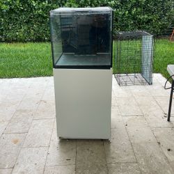 55 gallon fish tank 