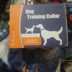 Dog Training Collar