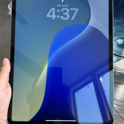 iPad pro 12.9 5th Gen 256GB