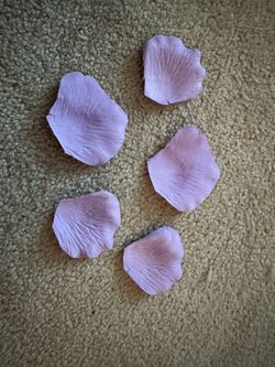 Lavender Rose Petals