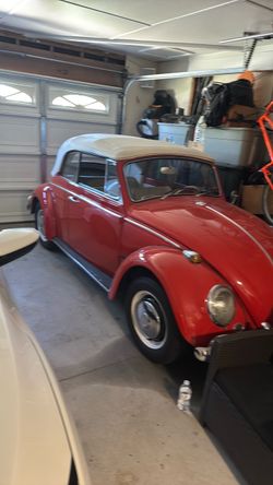 1965 VW BUG