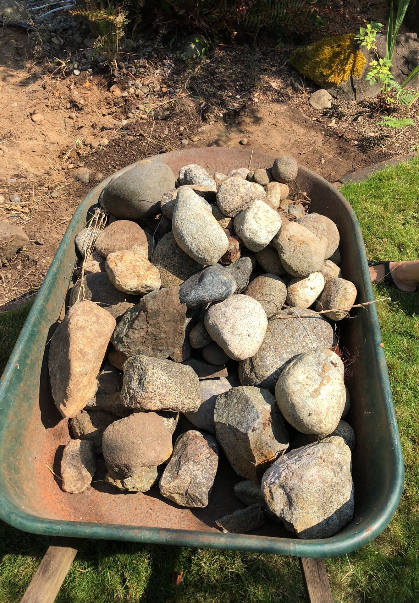 River rock from fountain 2-3 wheel barrel