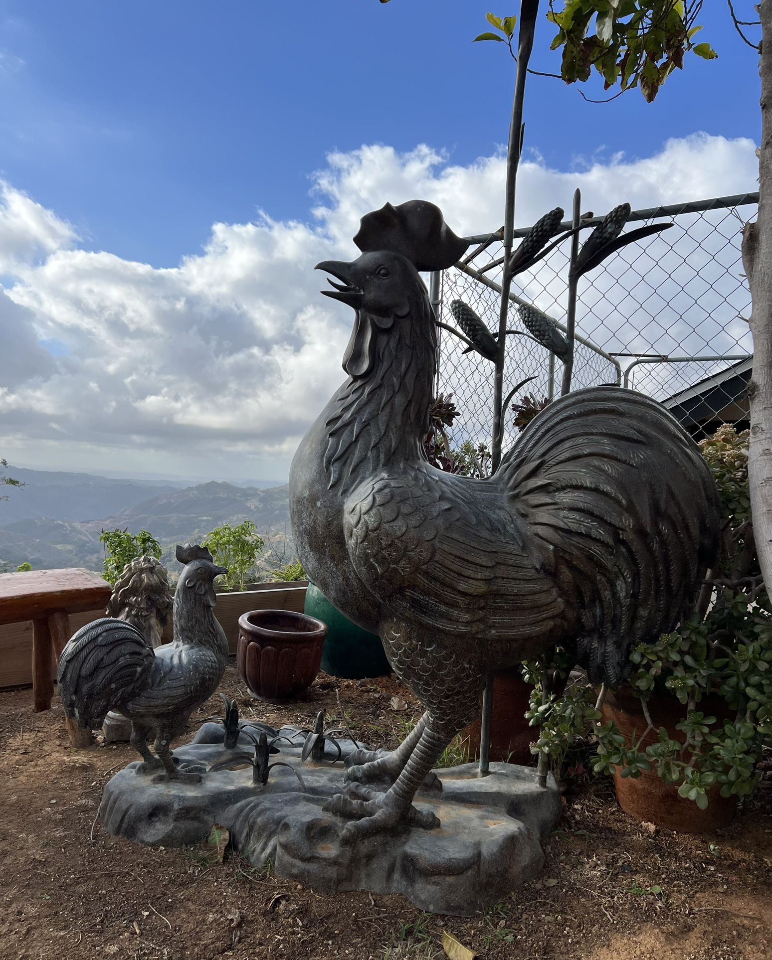 More Than Life Size Rooster And Chicken Bronze Sculpture 
