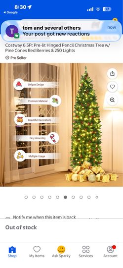 Coastway 6.5ft Christmas Tree with lights