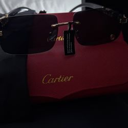 Cartier Sunglasses