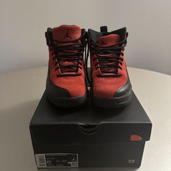 Air Jordan 12 Retro 