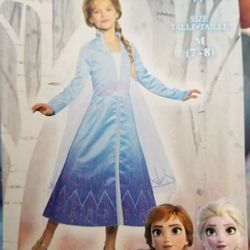 Elsa costume Frozen