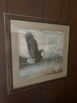 Big Eagle Portrait