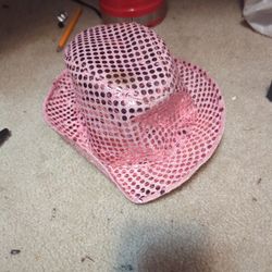 Weird Sparkly Pink Fedora