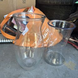 2 Big Glass Flower vase 